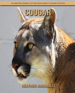 Bertrand.pt - Cougar