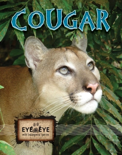 Bertrand.pt - Cougars