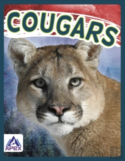 Bertrand.pt - Cougars