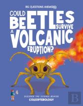 Could Beetles Survive A Volcanic Eruption?