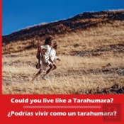 Could You Live Like A Tarahumara? Podrias Vivir Como Un Tarahumara? Bilingual Spanish And English