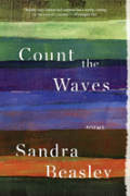 Count The Waves