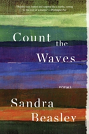 Count The Waves