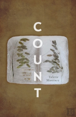 Bertrand.pt - Count