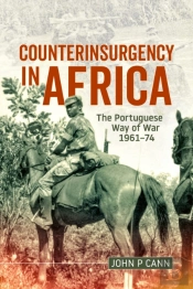 Counterinsurgency In Africa