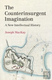 Counterinsurgent Imagination