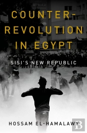 Counterrevolution In Egypt