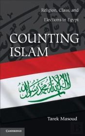 Counting Islam