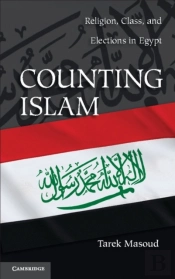 Counting Islam