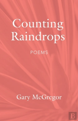 Bertrand.pt - Counting Raindrops