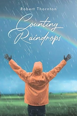 Bertrand.pt - Counting Raindrops