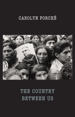 Bertrand.pt - Country Between Us