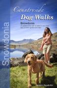 Countryside Dog Walks: Snowdonia