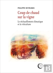 Coup De Chaud Sur La Vigne : Le Réchauffement Climatique Et La Viticulture