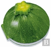 Courgette ; Les Meilleures Recettes