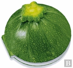 Bertrand.pt - Courgette ; Les Meilleures Recettes