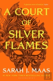 Court Of Silver Flames