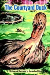 Courtyard Duck