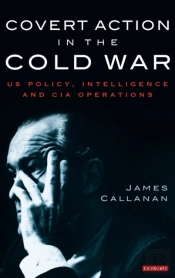 Covert Action In The Cold War