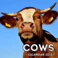 Cows Calendar 2021
