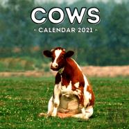 Cows Calendar 2021