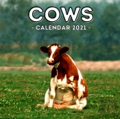 Cows Calendar 2021