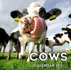 Bertrand.pt - Cows Calendar 2021
