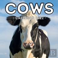 Cows Calendar 2022
