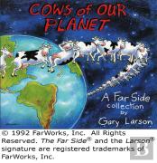 Cows Of Our Planet