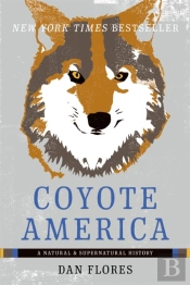 Coyote America