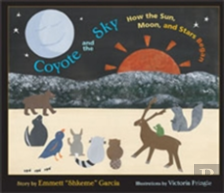 Coyote And The Sky