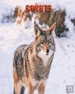 Bertrand.pt - Coyote