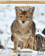 Coyote