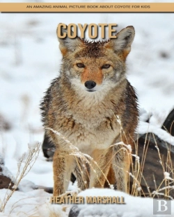 Bertrand.pt - Coyote