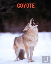 Coyote