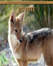 Coyote