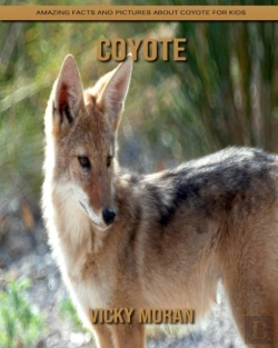 Bertrand.pt - Coyote