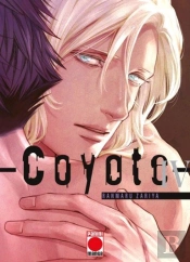 Coyote N.4