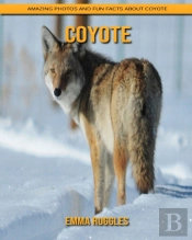 Coyote