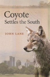 Coyote Settles The South