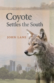 Coyote Settles The South