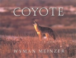 Bertrand.pt - Coyote