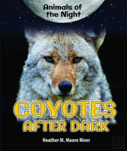 Bertrand.pt - Coyotes After Dark