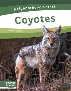 Bertrand.pt - Coyotes
