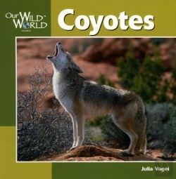 Bertrand.pt - Coyotes