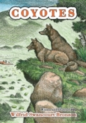 Coyotes