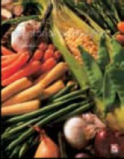 Cozinha Vegetariana Saudável