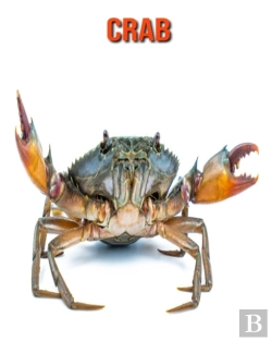 Bertrand.pt - Crab