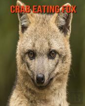 Crab Eating Fox