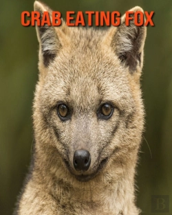 Bertrand.pt - Crab Eating Fox